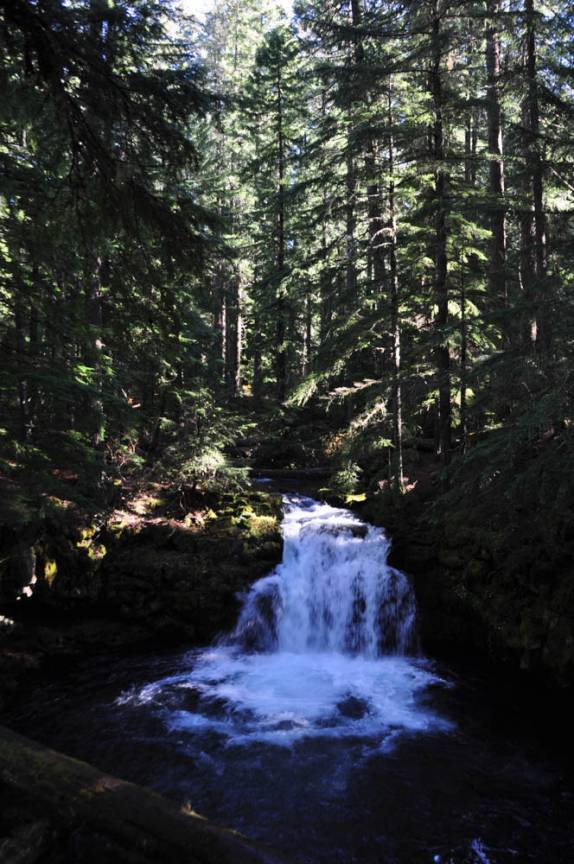 Whitehorse Falls, na Umpqua National Forest, no sul do Oregon, estado da costa oeste dos Estados Unidos